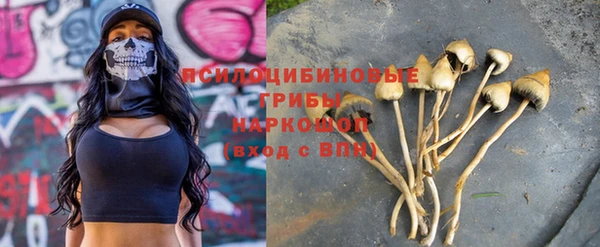 герыч Бородино